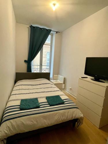 T3 refait à neuf quartier Hôtel de Ville-Terreaux, Lyon (fotografie 8)