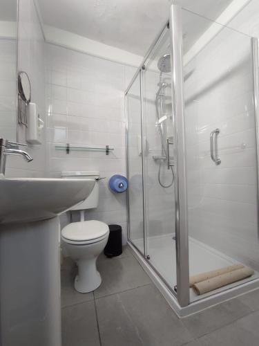 Double Room room in Ashley Hotel