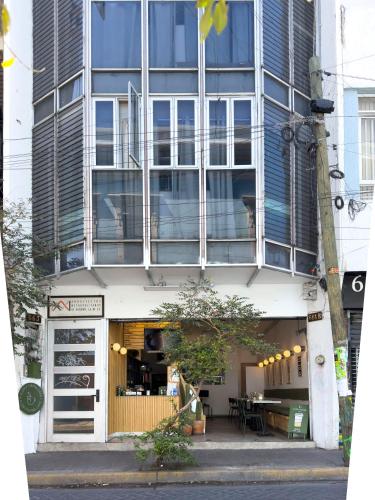Estudios by Flor y tierra