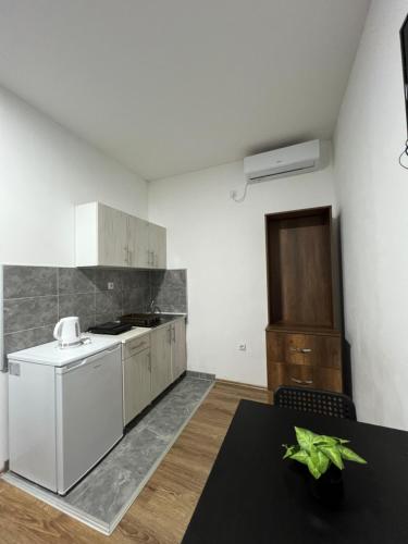 virtuve, Apartmani Ćosić - Kuršumlijska banja (Apartmani Cosic - Kursumlijska banja) in Kursumlija