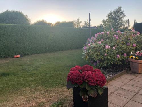 Modern Home for a Spring Getaway in Kjellerup