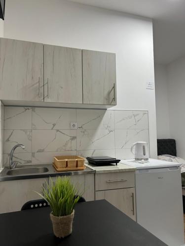 virtuve, Apartmani Ćosić - Kuršumlijska banja (Apartmani Cosic - Kursumlijska banja) in Kursumlija