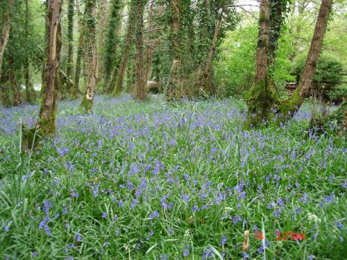 Gleann Fia Country House - image 5