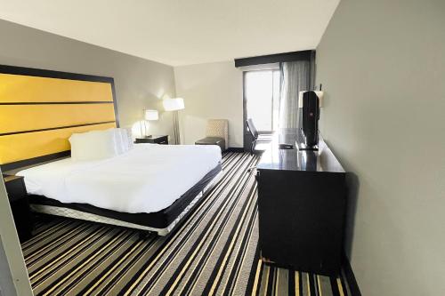 1 king bed