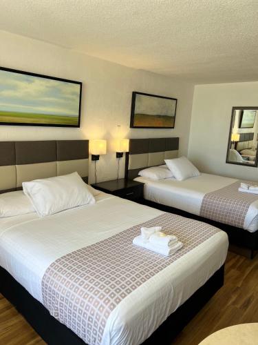 Flamingo Inn Beachfront - Daytona Beach - main image