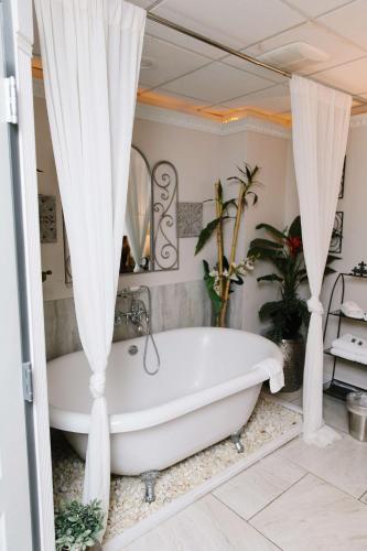 Tropical Jungle Themed Suite with real sand King Bed