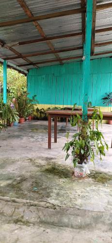 Residencia Moraes 1 in Novo Airão