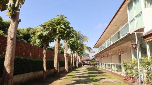 Tahnboon-ทานบุณ in San Pa Tong