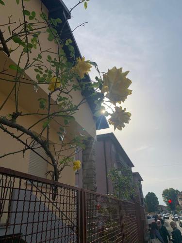 Casa vacanza Natasha 3