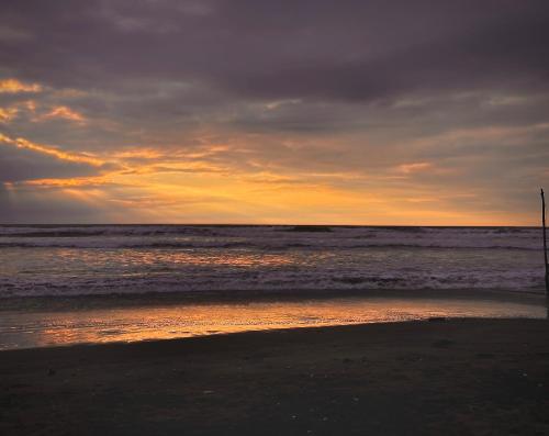Kilátás, Sirena's Beach & Surf Club in Boca de Briceno