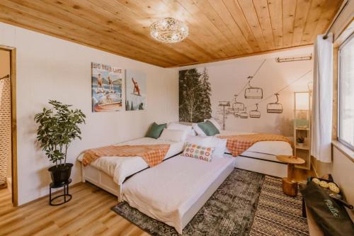 Stylish Cabin near the Slopes and Pet Friendly