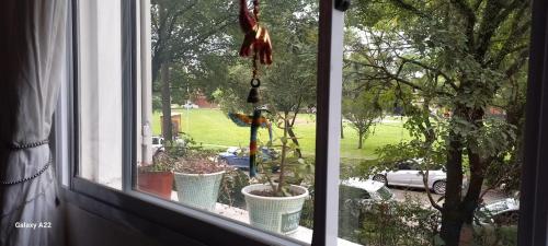 Apartamento los lapachos in Don Bosco