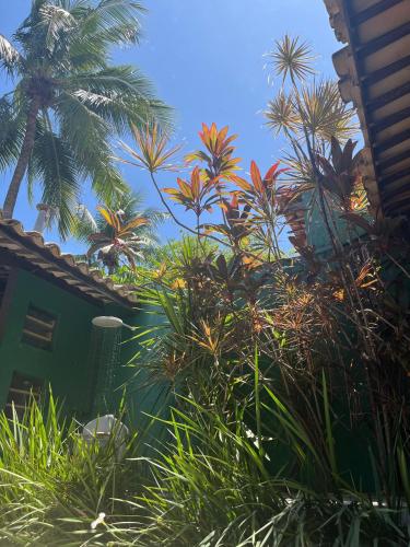 House 061, Maceió (fotografie 7)