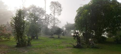 สวน, Maison en bord de rivière (Maison en bord de riviere) in แซ็ง-โลร็อง-ดู-มาโรนี