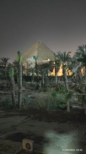 Miracle Pyramids View Hotel - image 11