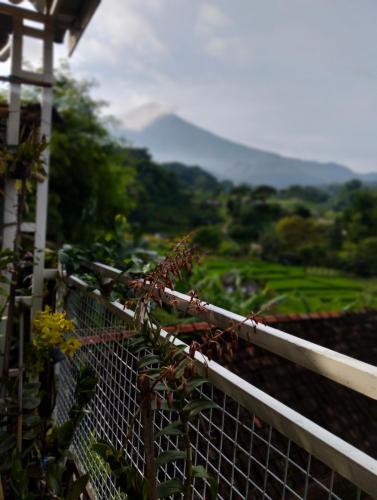 Uthe house, Pacet