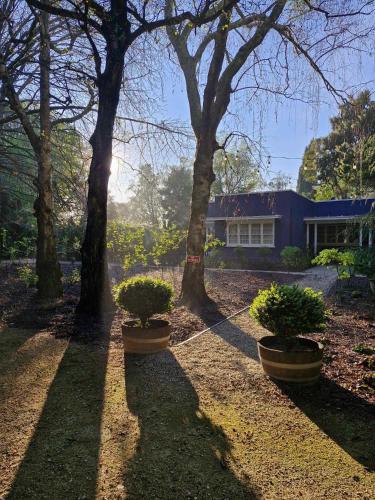 ทัศนียภาพภายนอกโรงแรม, Meadowood Art Deco Home in เฟิร์นฮิลล์