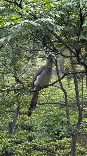 A környék, ROOTS by MOUNT OLIVE in Bharat Nagar