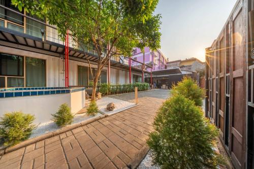 SHIN Hostel Changphuak ChiangMai - 정원