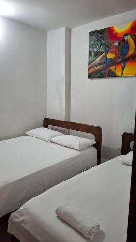 Apartamento Manjarrez 3 Compartido