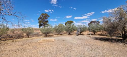 Alrededores, Windana Cottages in Hawker