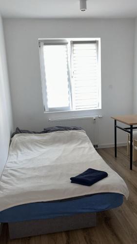 1 twin bed, 1 sofa bed