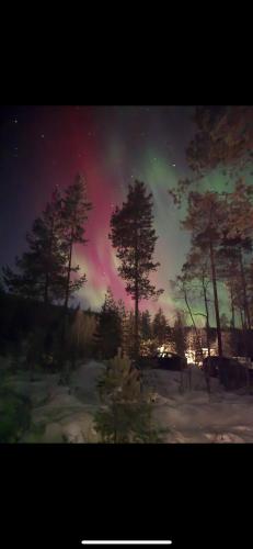 Veltelia Resort Veltelia Resort