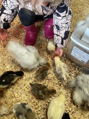 Gemütliches Mobilheim auf Bauernhof Gemütliches Mobilheim auf Bauernhof