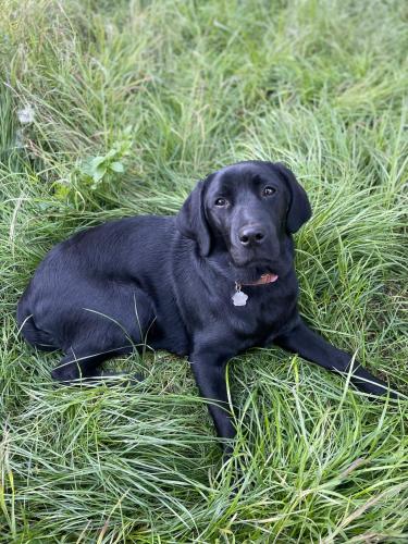 Gemütliches Mobilheim auf Bauernhof Gemütliches Mobilheim auf Bauernhof