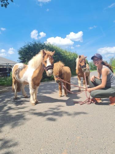 Gemütliches Mobilheim auf Bauernhof Gemütliches Mobilheim auf Bauernhof