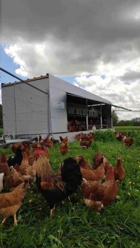 Gemütliches Mobilheim auf Bauernhof Gemütliches Mobilheim auf Bauernhof