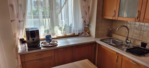 Apartment with terrace and garage, Cracovia (foto 10)