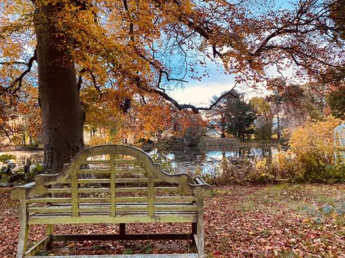 Garden, North Cottage in Berriew