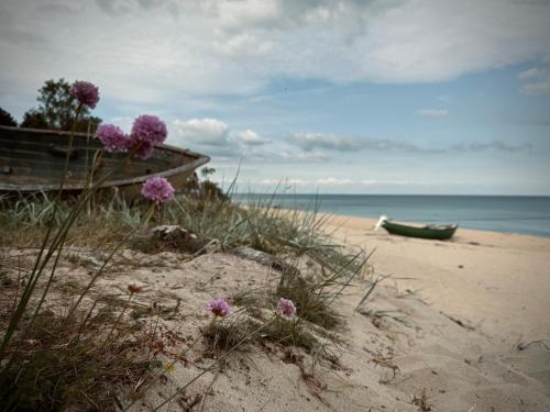 Stuga Bra Nock in Brosarp