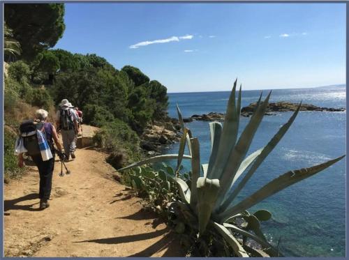 Centre de Roses 500 m de la plage appartement 6 personnes Rav in Montjoi