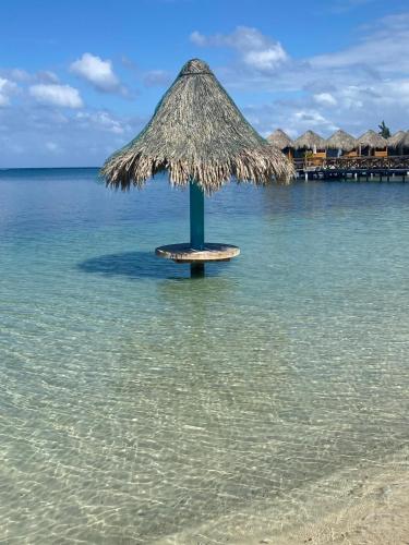 Diamond Hill and Beach Resort Apartment in Diamond Rock