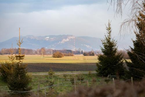Riedwohnung 1- Lustenau in ลุสเทเนา