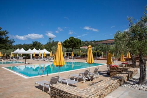 Royal Paradise Beach Resort & Spa - image 3