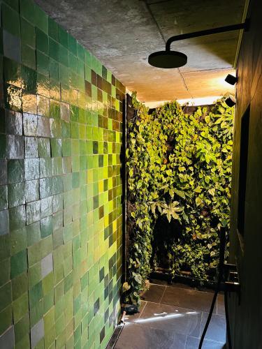 Shower, die Traumerei GmbH in Michelstadt