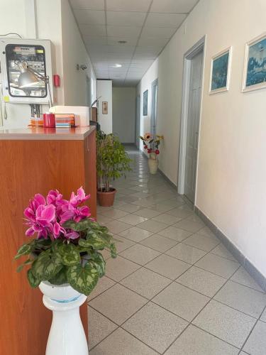 Girasole House - main image