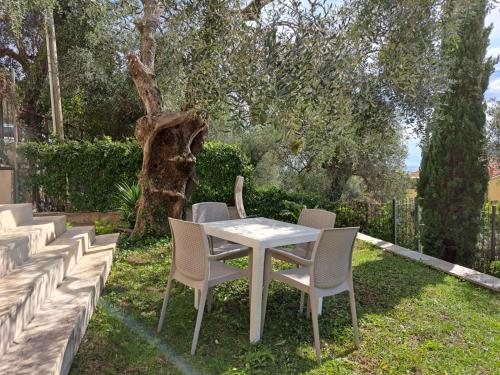 Studio with Garden View