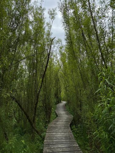 Villa Theresia Villa Theresia