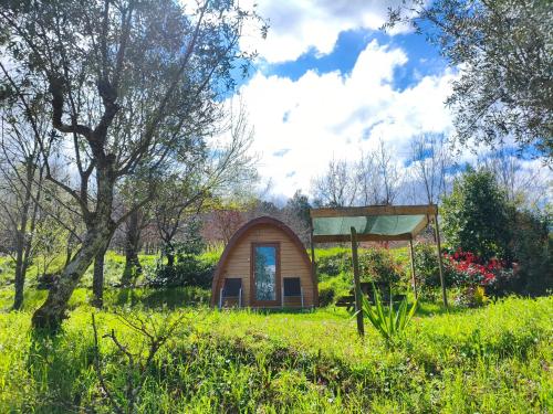 Quinta das Cegonhas - image 14