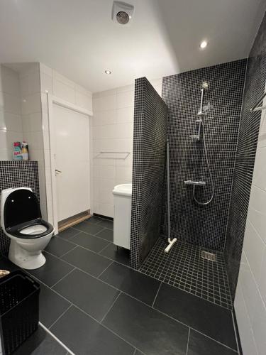 Fürdőszoba, Familiehuis Boysen Bed&Breakfast in Ribe városközpont