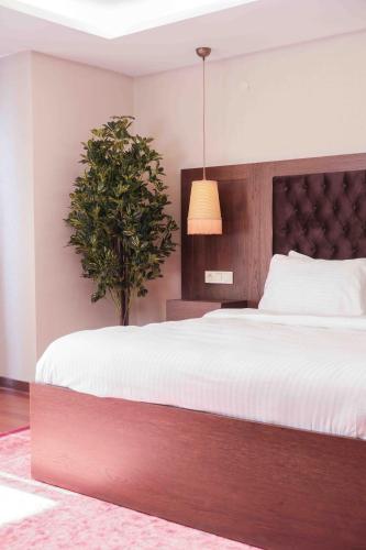 Phellos Suites - image 3