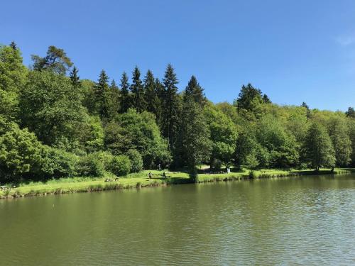 Szórakozási lehetőségek, Schönes Zimmer mit Küche und Bad im Taunus (Schones Zimmer mit Kuche und Bad im Taunus) in Gravenwiesbach