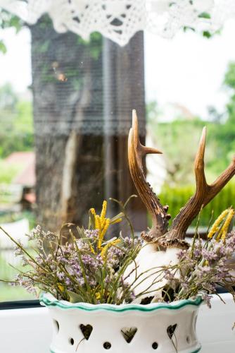Gasthaus zur Waldschenke - image 14