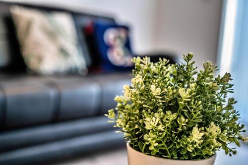 One-bedroom ground floor apartment in Birmingham with parking, Birmingham (fotografie 6)