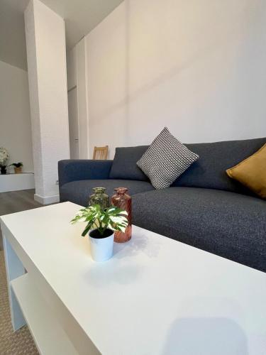 Superbe T2 à 15 min de Lyon Superbe T2 à 15 min de Lyon