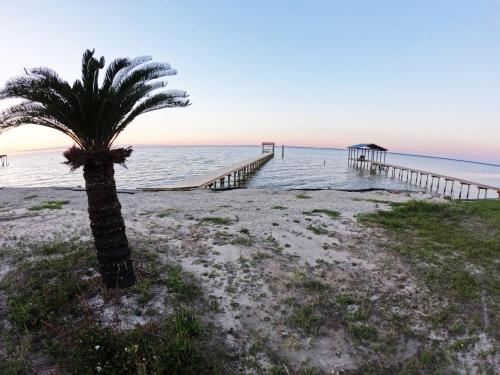 Dolphin Watch for Lasting Memories in Gulf Shores, USA